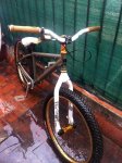 2012-10-11T10-47-32_1.jpg
