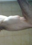 biceps.jpg