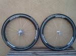 DSC01592.JPG