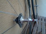 DSC01595.JPG