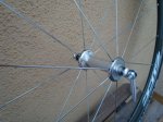 DSC01597.JPG