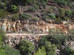 CIMG2886 (Copiar).JPG