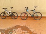 2012-10-12 12.30.46.jpg