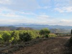 IMG_3220 (Copiar).JPG