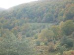 P1110696_800x600.jpg