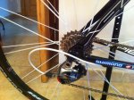 IMG_0608.jpeg