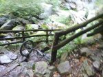 P1110934_800x600.jpg