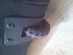 resized_20121014_134405.jpg