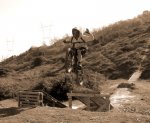 ARBOLEDA-01-1.JPG