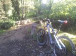 2012-10-13 09.55.47.jpg