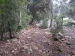 IMG_1170.JPG
