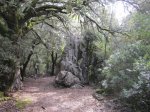 IMG_1185.JPG