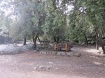 IMG_1187.JPG