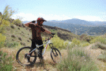 picasion.com_1b928084190a667d74e78b6a9f57b8e4.gif