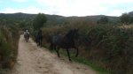 DSC07134.JPG