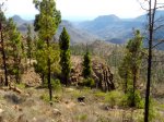 DSCN3841.jpg