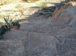 IMG_8342.JPG