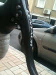 IMG-20121015-WA0017.jpg
