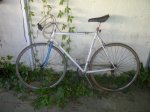 IMG-20120711-00164.jpg