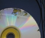 CD-fungi.jpg