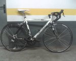 Flaca Kinesis 1.jpg