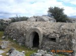 DSC00158 (Medium).JPG