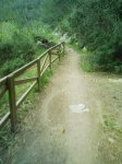 Image0008.jpg