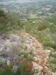 Image0016.jpg