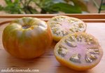 tomates-raf.jpg