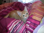 20121015_092754.jpg