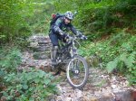 P1110862_800x600.jpg