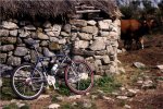 Bici009.jpg