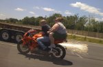 fat-bike1-599x394.jpg