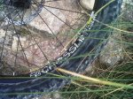 IMG-20121018-01259.jpg