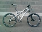 stumpy22.jpg