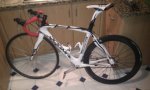 chinarello.jpg