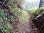 Imagen 029.jpg