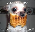 quereismiedo.jpg