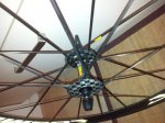 20121020_074209.jpg