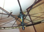 20121020_074236.jpg