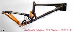 Antidote Lifeline DH Carbon  2999 &#8364;.jpg