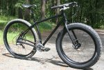 steel fork fat front jones.jpg