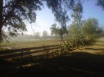 Guillena-20121020-00186.jpg