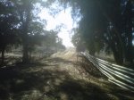 Guillena-20121020-00185.jpg