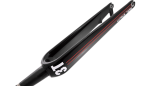 FORKS-LUTEUS_PIC2817.png