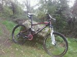 IMG_201210213286.jpg