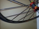 20120919_161039.jpg