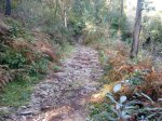 Imagen 039.jpg