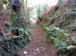 Imagen 042.jpg