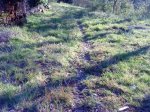 Imagen 045.jpg